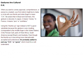 Sample from Teaching English Language Learners Course #4