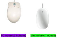 Teaching Tip: Buttons on a Mouse