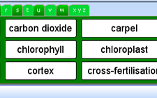 How can I use Word Banks to help Students with Dyslexia?