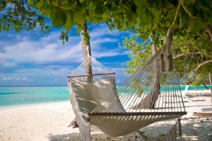 Beach Hammock