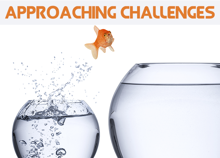 Approaching Challenges