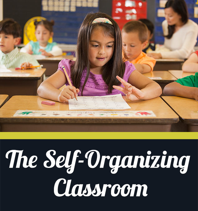 self organizing classroom